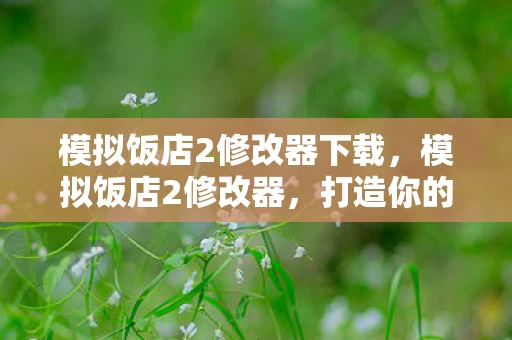 模拟饭店2修改器下载，模拟饭店2修改器，打造你的梦想餐厅