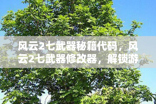 风云2七武器秘籍代码，风云2七武器修改器，解锁游戏新境界的利器