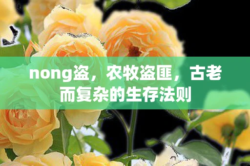 nong盗,农牧盗匪,古老而复杂的生存法则 nong盗,农牧盗匪,古老而复杂的生存法则