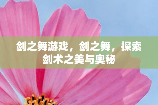 剑之舞游戏，剑之舞，探索剑术之美与奥秘