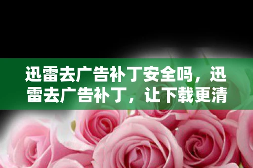 迅雷去广告补丁安全吗，迅雷去广告补丁，让下载更清爽