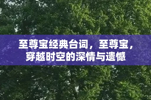 至尊宝经典台词，至尊宝，穿越时空的深情与遗憾