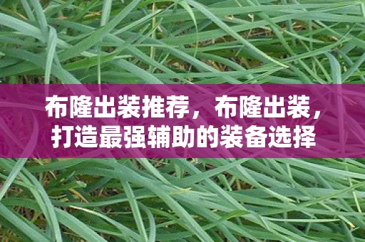 布隆出装推荐，布隆出装，打造最强辅助的装备选择