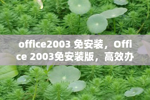 office2003 免安装，Office 2003免安装版，高效办公的便捷选择