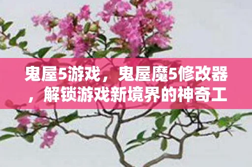 鬼屋5游戏，鬼屋魔5修改器，解锁游戏新境界的神奇工具