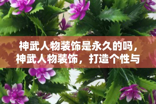 神武人物装饰是永久的吗,神武人物装饰,打造个性与实力的完美结合 神武人物装饰是永久的吗,神武人物装饰,打造个性与实力的完美结合