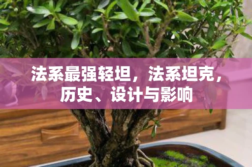 法系最强轻坦,法系坦克,历史、设计与影响 法系最强轻坦,法系坦克,历史、设计与影响