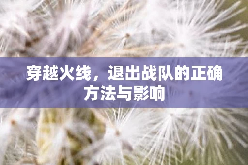 退出战队的正确方法与影响图片