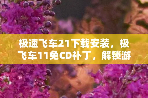 极速飞车21下载安装，极飞车11免CD补丁，解锁游戏新体验，但需注意风险