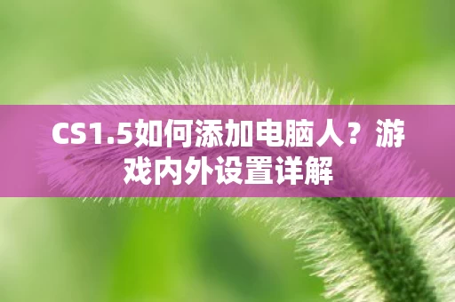 5如何添加电脑人图片