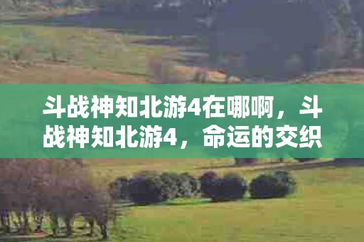 斗战神知北游4在哪啊,斗战神知北游4,命运的交织与抉择 斗战神知北游4在哪啊,斗战神知北游4,命运的交织与抉择