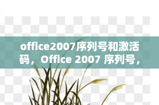 office2007序列号和激活码，Office 2007 序列号，合法使用的重要性与获取途径