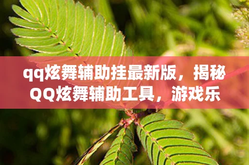 qq炫舞辅助挂最新版，揭秘QQ炫舞辅助工具，游戏乐趣与风险并存