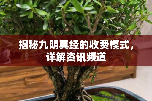揭秘九阴真经的收费模式图片