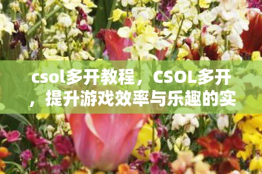 csol多开教程，CSOL多开，提升游戏效率与乐趣的实用技巧