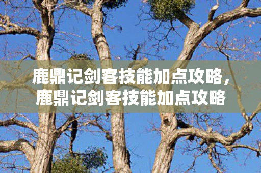 鹿鼎记剑客技能加点攻略，鹿鼎记剑客技能加点攻略