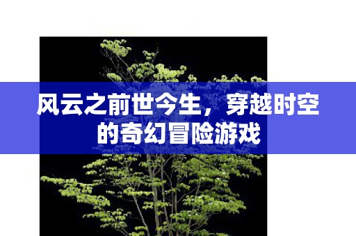 穿越时空的奇幻冒险游戏图片