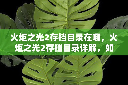 火炬之光2存档目录在哪，火炬之光2存档目录详解，如何备份与恢复游戏进度