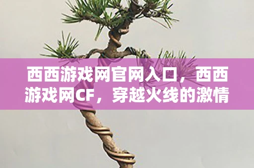 西西游戏网官网入口，西西游戏网CF，穿越火线的激情与回忆