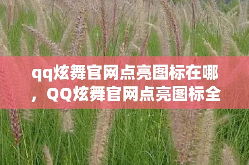 qq炫舞官网点亮图标在哪，QQ炫舞官网点亮图标全攻略