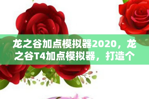 龙之谷加点模拟器2020，龙之谷T4加点模拟器，打造个性化角色，提升战斗效率