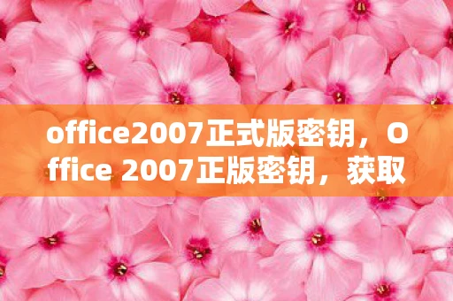 office2007正式版密钥，Office 2007正版密钥，获取与使用指南