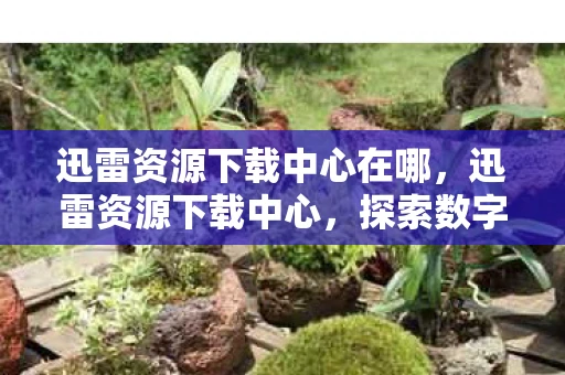 迅雷资源下载中心在哪，迅雷资源下载中心，探索数字时代的资源宝库