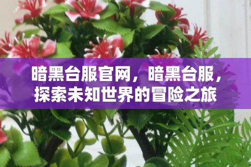 暗黑台服官网，暗黑台服，探索未知世界的冒险之旅