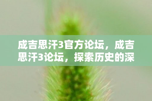 成吉思汗3官方论坛,成吉思汗3论坛,探索历史的深度与广度 成吉思汗3官方论坛,成吉思汗3论坛,探索历史的深度与广度