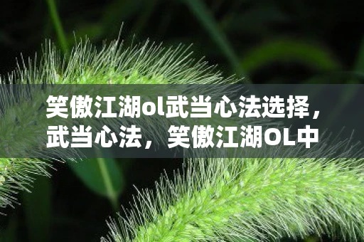 笑傲江湖ol武当心法选择,武当心法,笑傲江湖OL中的武学精髓 笑傲江湖ol武当心法选择,武当心法,笑傲江湖OL中的武学精髓