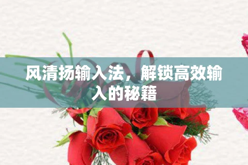 风清扬输入法，解锁高效输入的秘籍