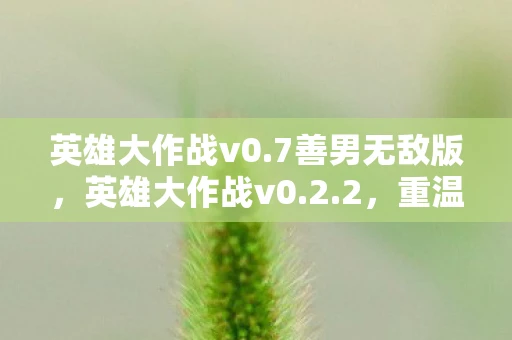 英雄大作战v0.7善男无敌版，英雄大作战v0.2.2，重温经典，再战江湖