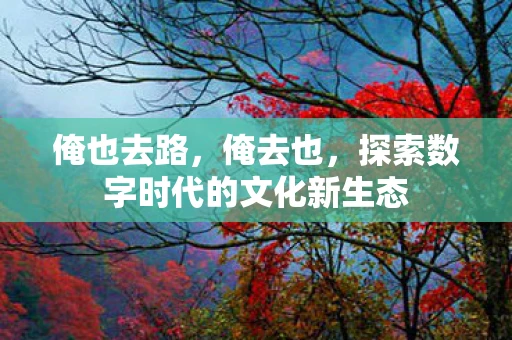 俺也去路，俺去也，探索数字时代的文化新生态