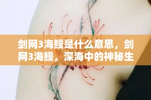 剑网3海鳗是什么意思，剑网3海鳗，深海中的神秘生物，揭秘其独特生态与生存智慧
