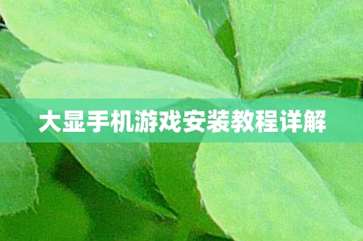 大显手机游戏安装教程详解图片