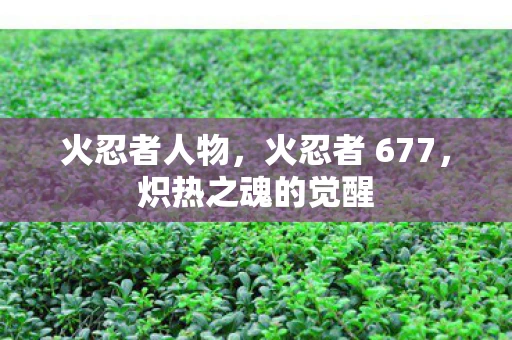 火忍者人物,火忍者 677,炽热之魂的觉醒 火忍者人物,火忍者 677,炽热之魂的觉醒