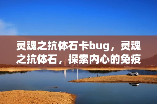 灵魂之抗体石卡bug，灵魂之抗体石，探索内心的免疫力