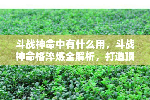 斗战神命中有什么用,斗战神命格淬炼全解析,打造顶级战力 斗战神命中有什么用,斗战神命格淬炼全解析,打造顶级战力