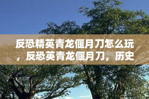 反恐精英青龙偃月刀怎么玩,反恐英青龙偃月刀,历史与现代的交汇 反恐精英青龙偃月刀怎么玩,反恐英青龙偃月刀,历史与现代的交汇