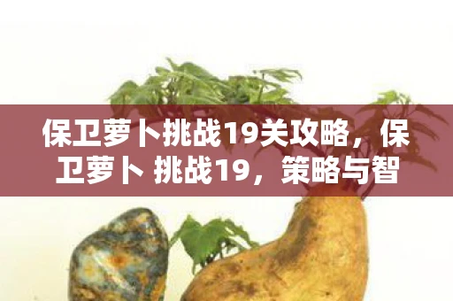 保卫萝卜挑战19关攻略，保卫萝卜 挑战19，策略与智慧的双重考验
