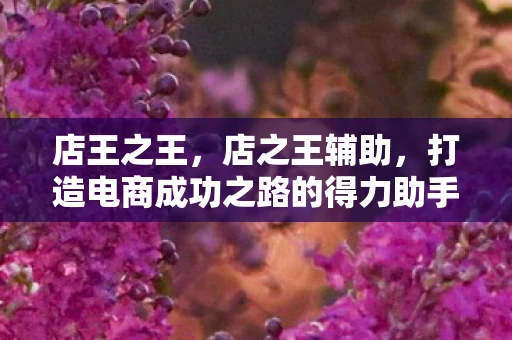 店王之王，店之王辅助，打造电商成功之路的得力助手