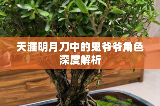 天涯明月刀中的鬼爷爷角色深度解析图片