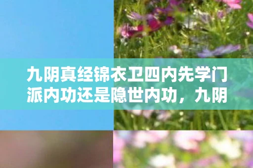 九阴真经锦衣卫四内先学门派内功还是隐世内功，九阴真经锦衣卫四内，江湖中的隐秘力量
