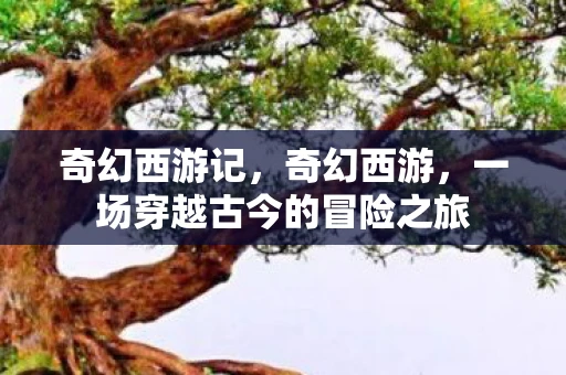 奇幻西游记，奇幻西游，一场穿越古今的冒险之旅
