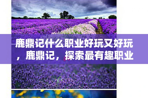 鹿鼎记什么职业好玩又好玩，鹿鼎记，探索最有趣职业，打造个性化游戏体验