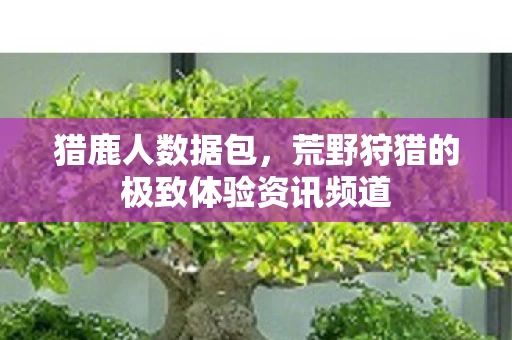 荒野狩猎的极致体验资讯频道图片
