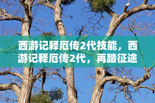 西游记释厄传2代技能，西游记释厄传2代，再踏征途，师徒四人再续传奇