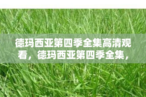 德玛西亚第四季全集高清观看，德玛西亚第四季全集，一场关于荣耀与梦想的征途