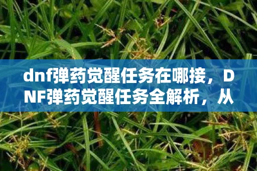 dnf弹药觉醒任务在哪接，DNF弹药觉醒任务全解析，从入门到精通的觉醒之旅