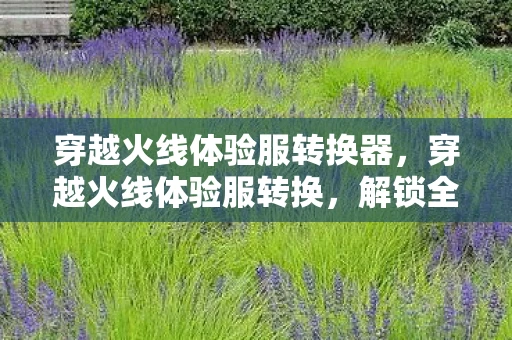 穿越火线体验服转换器，穿越火线体验服转换，解锁全新游戏体验的钥匙